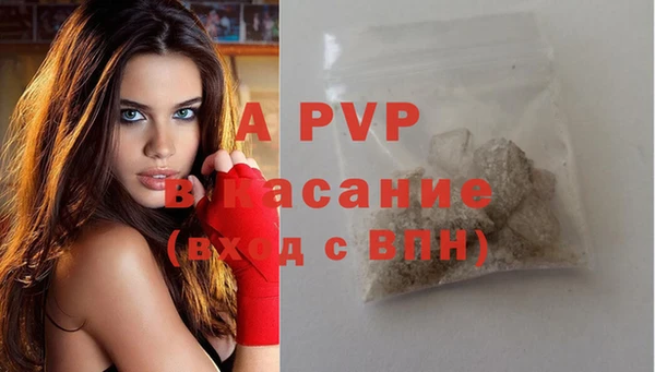 ПСИЛОЦИБИНОВЫЕ ГРИБЫ Тында