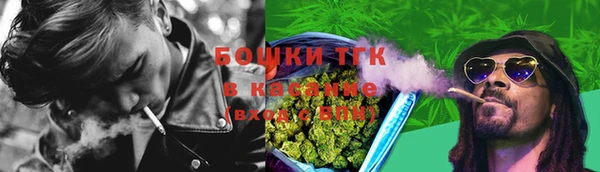 ПСИЛОЦИБИНОВЫЕ ГРИБЫ Тында