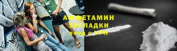 сатива Туринск