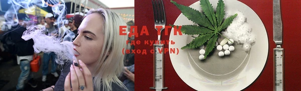 сатива Туринск