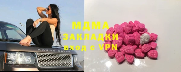 сатива Туринск