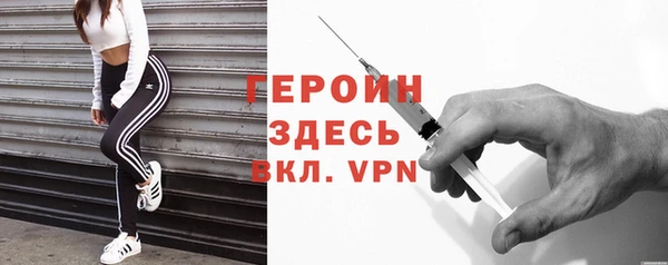 сатива Туринск