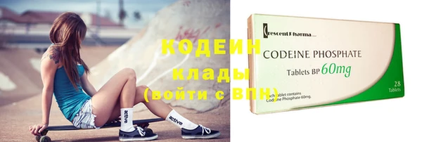 сатива Туринск