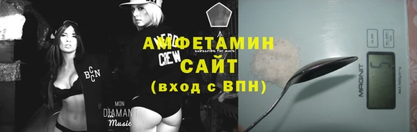 сатива Туринск