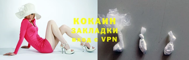 сатива Туринск