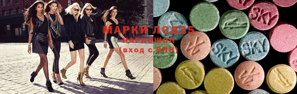 ПСИЛОЦИБИНОВЫЕ ГРИБЫ Тында
