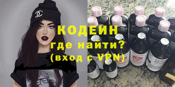 сатива Туринск