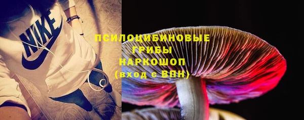 ПСИЛОЦИБИНОВЫЕ ГРИБЫ Тында