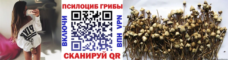 Псилоцибиновые грибы GOLDEN TEACHER  гидра ссылки  Балашиха 