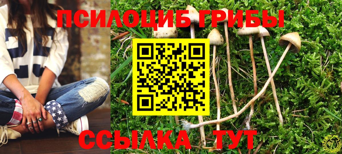 Псилоцибиновые грибы Psilocybine cubensis  наркота  Балашиха  Вход с VPN  Псилоцибиновые грибы Magic Shrooms 