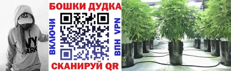 Шишки марихуана марихуана Балашиха